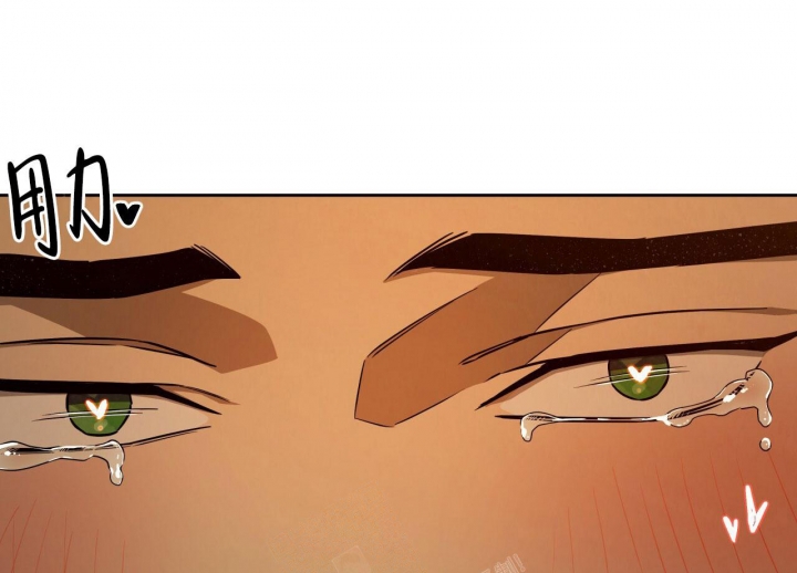 52.jpg
