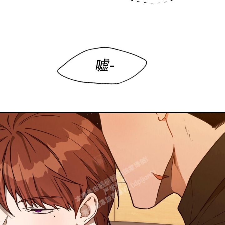 48.jpg