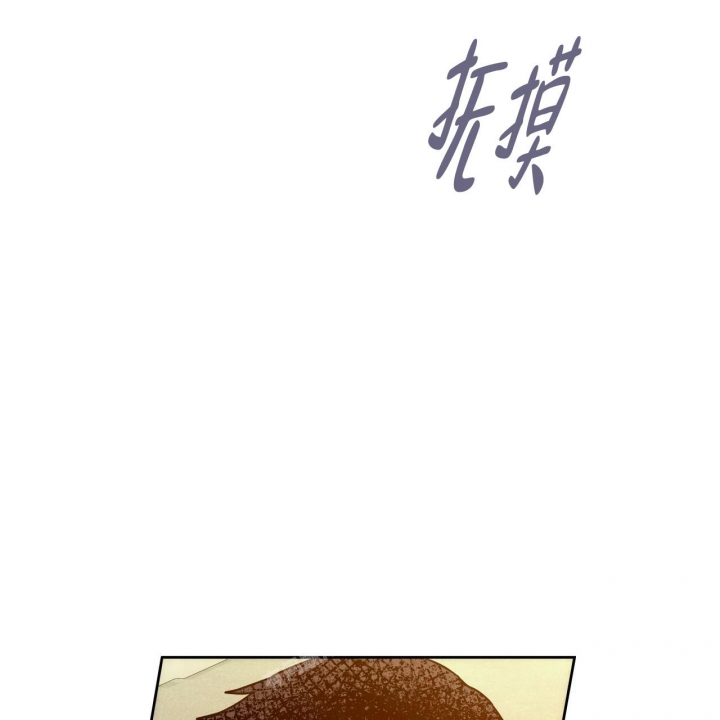 54.jpg