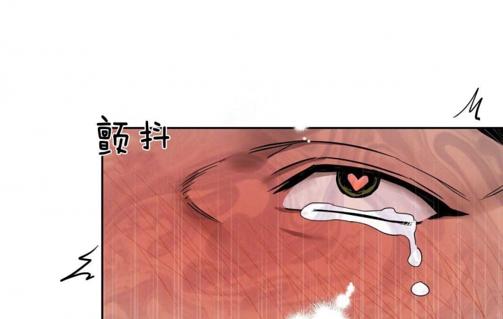 52.jpg