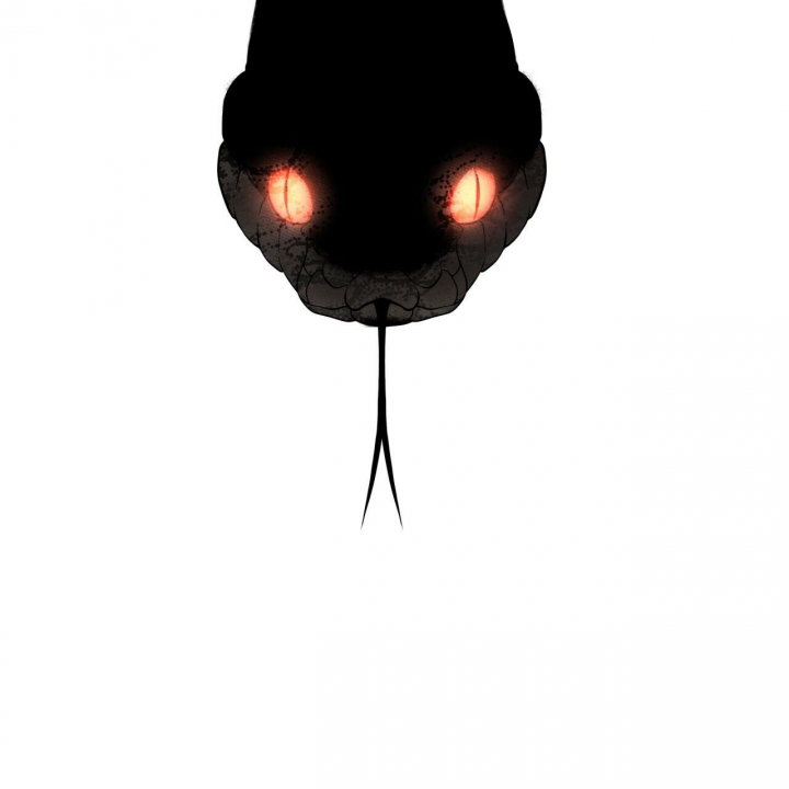 50.jpg