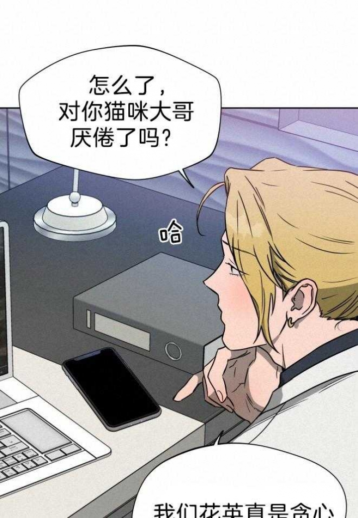 26.jpg