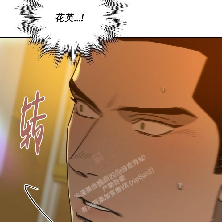 46.jpg