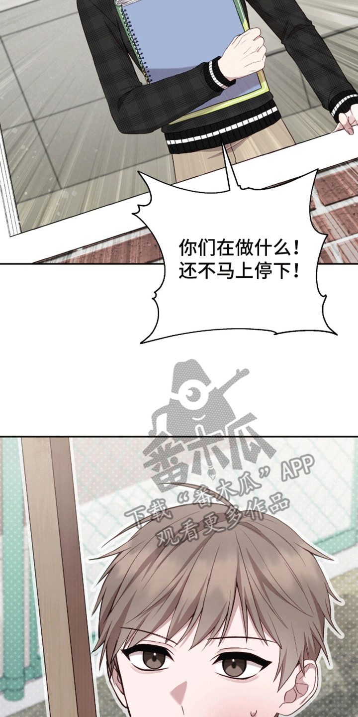 31