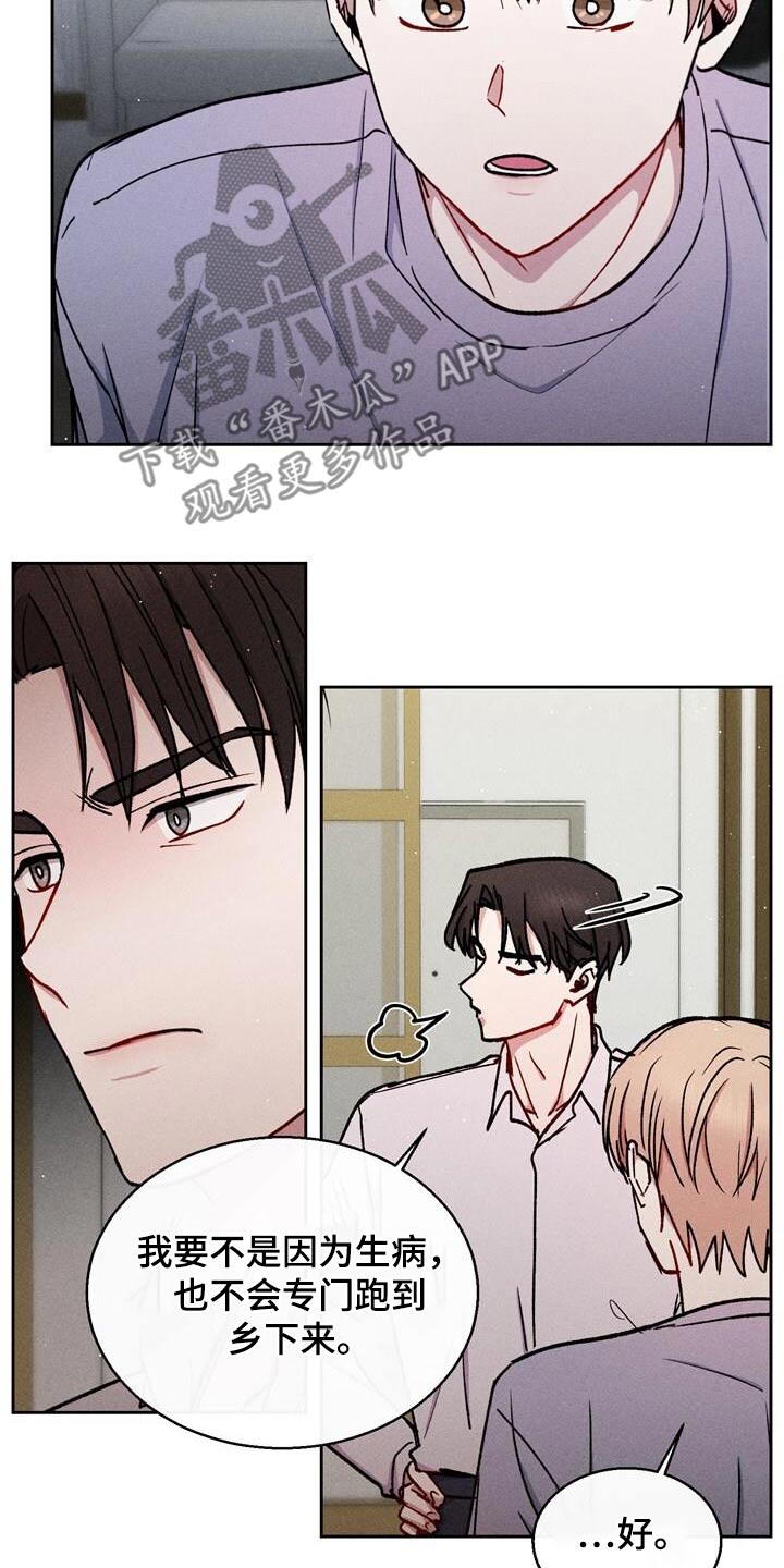 临时搭档