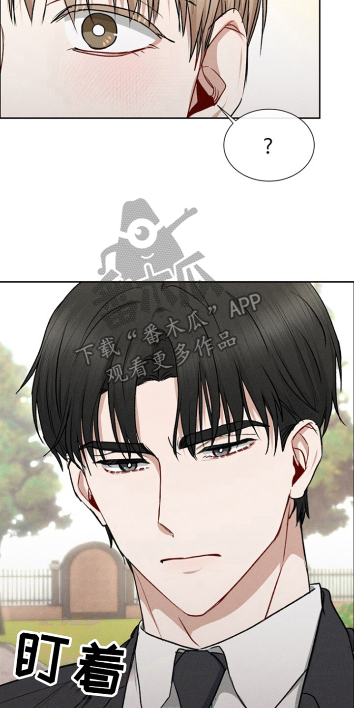 临时搭档