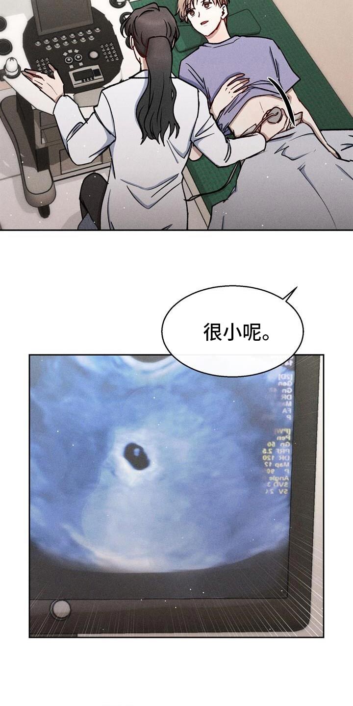 临时搭档