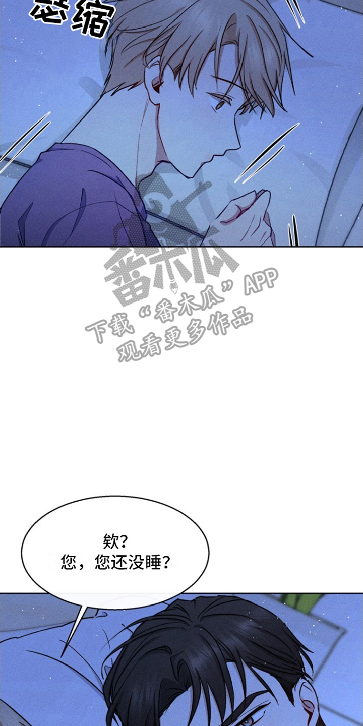 临时搭档