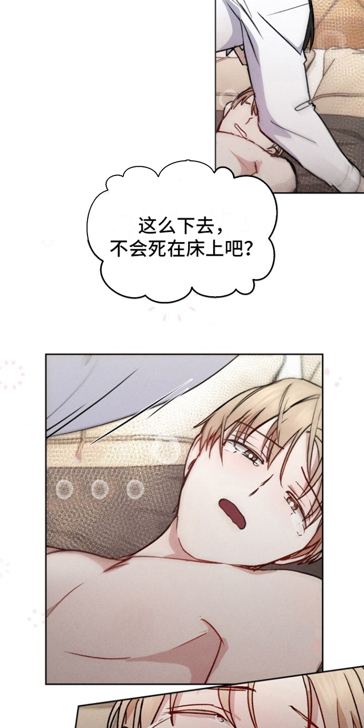 临时搭档