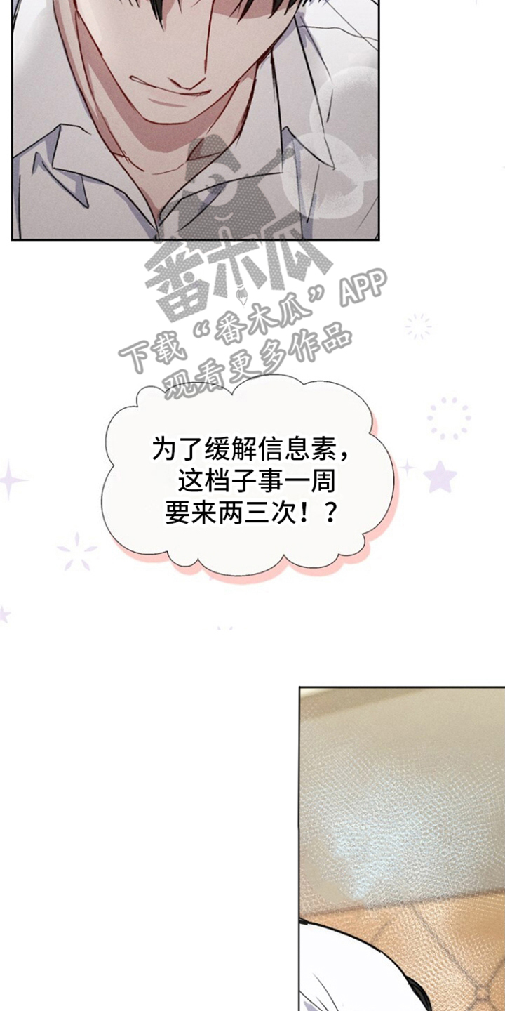临时搭档