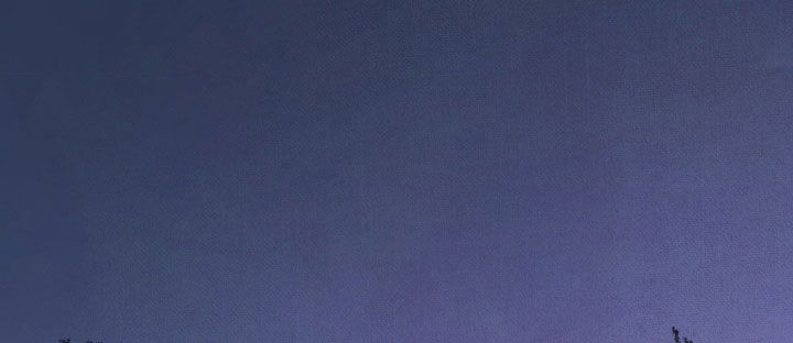 36.jpg