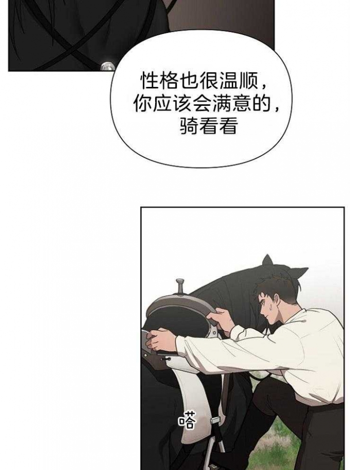 26.jpg