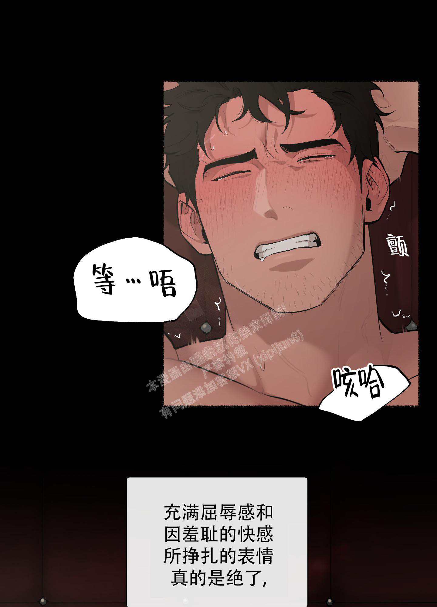 /template/pc/baozi/image/load.gif