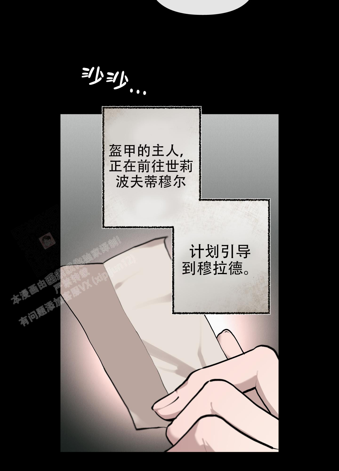 29.jpg