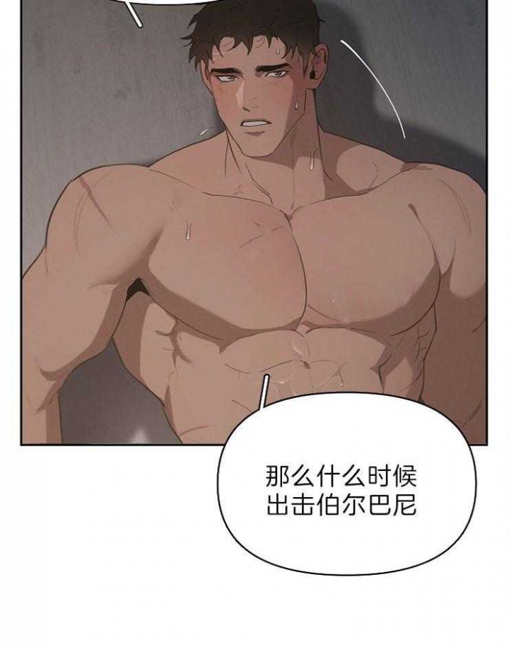 26.jpg