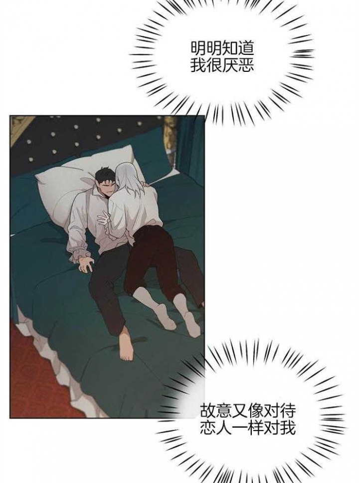 31.jpg