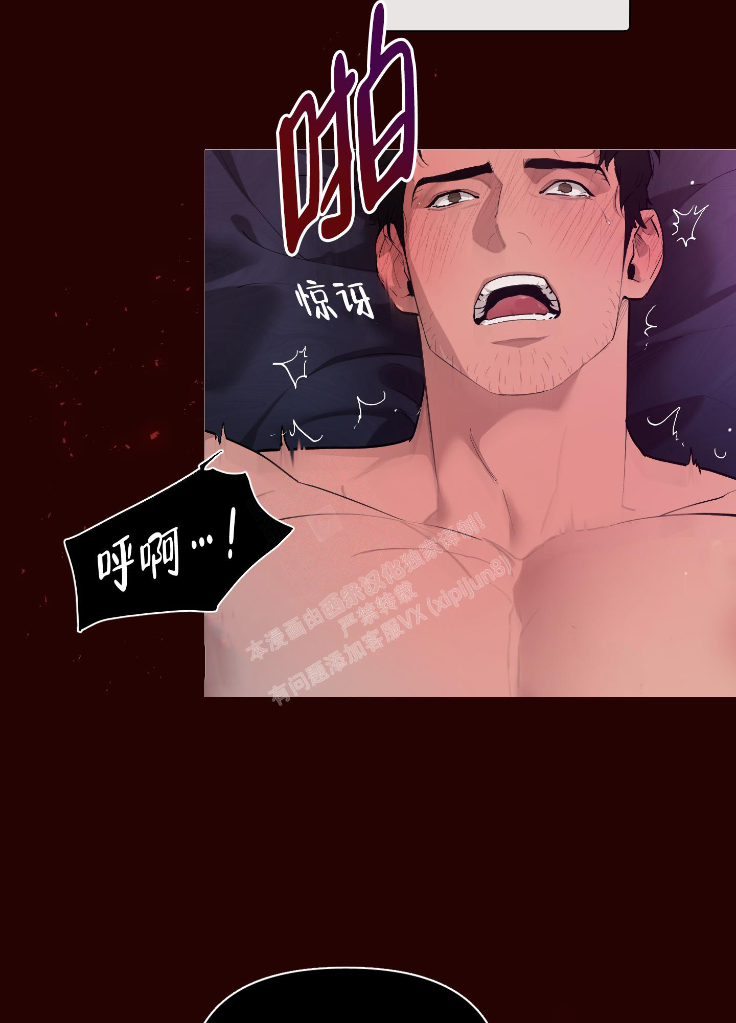 /template/pc/baozi/image/load.gif