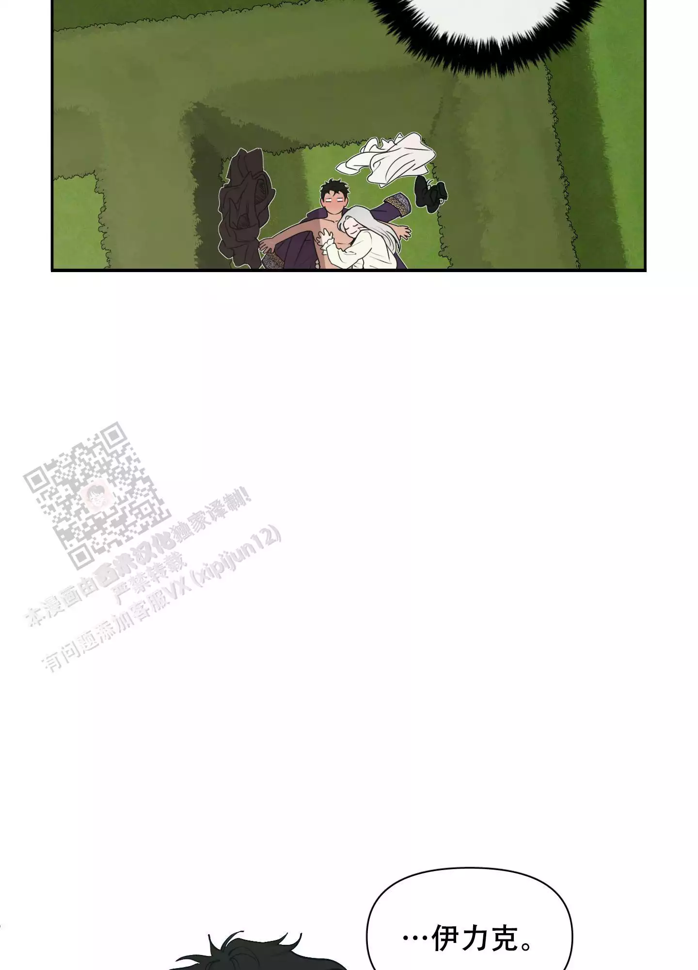36.jpg