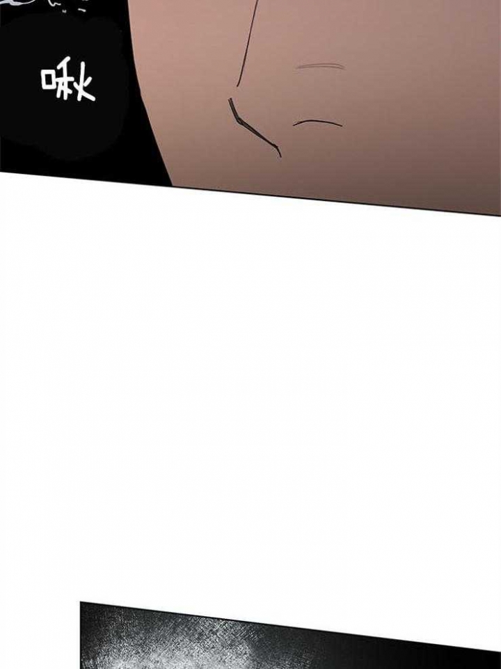 40.jpg