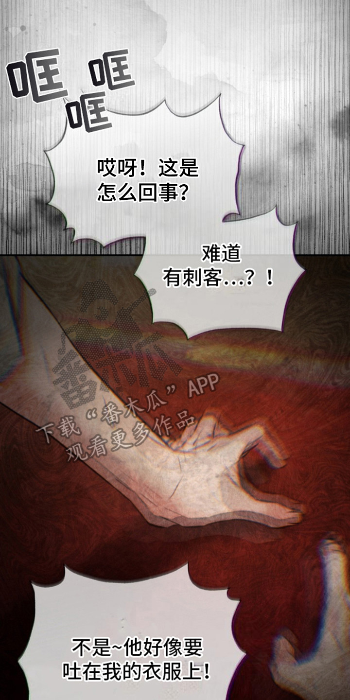 17.jpg