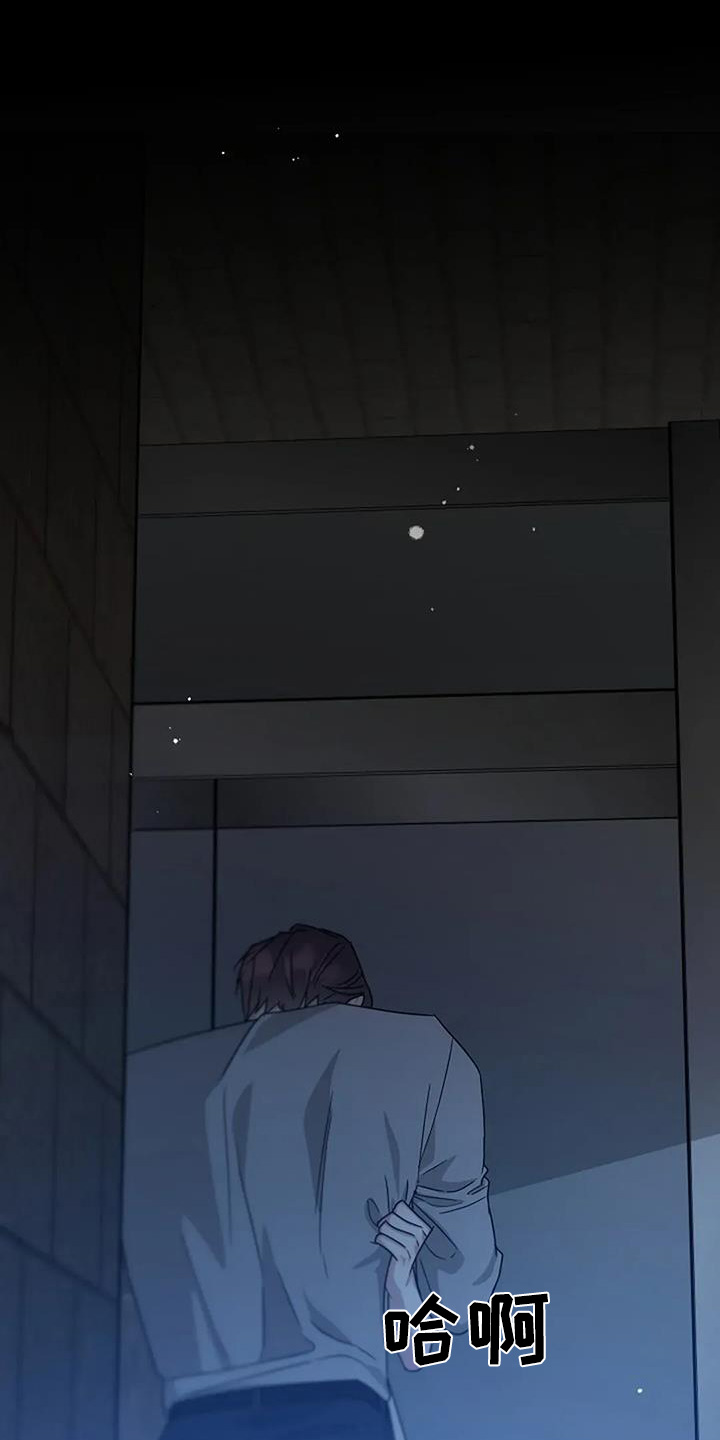 双重抉择