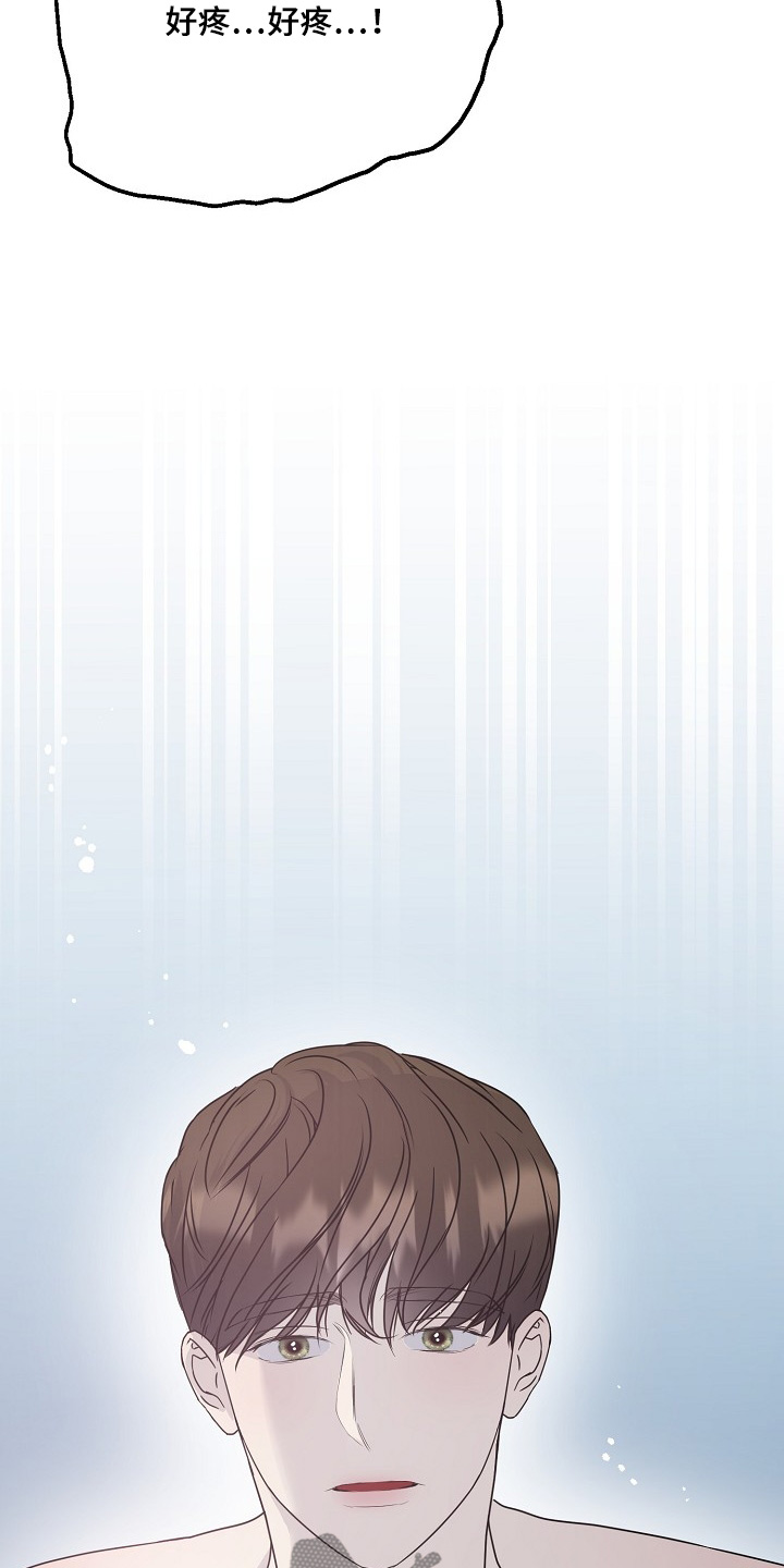 双重抉择