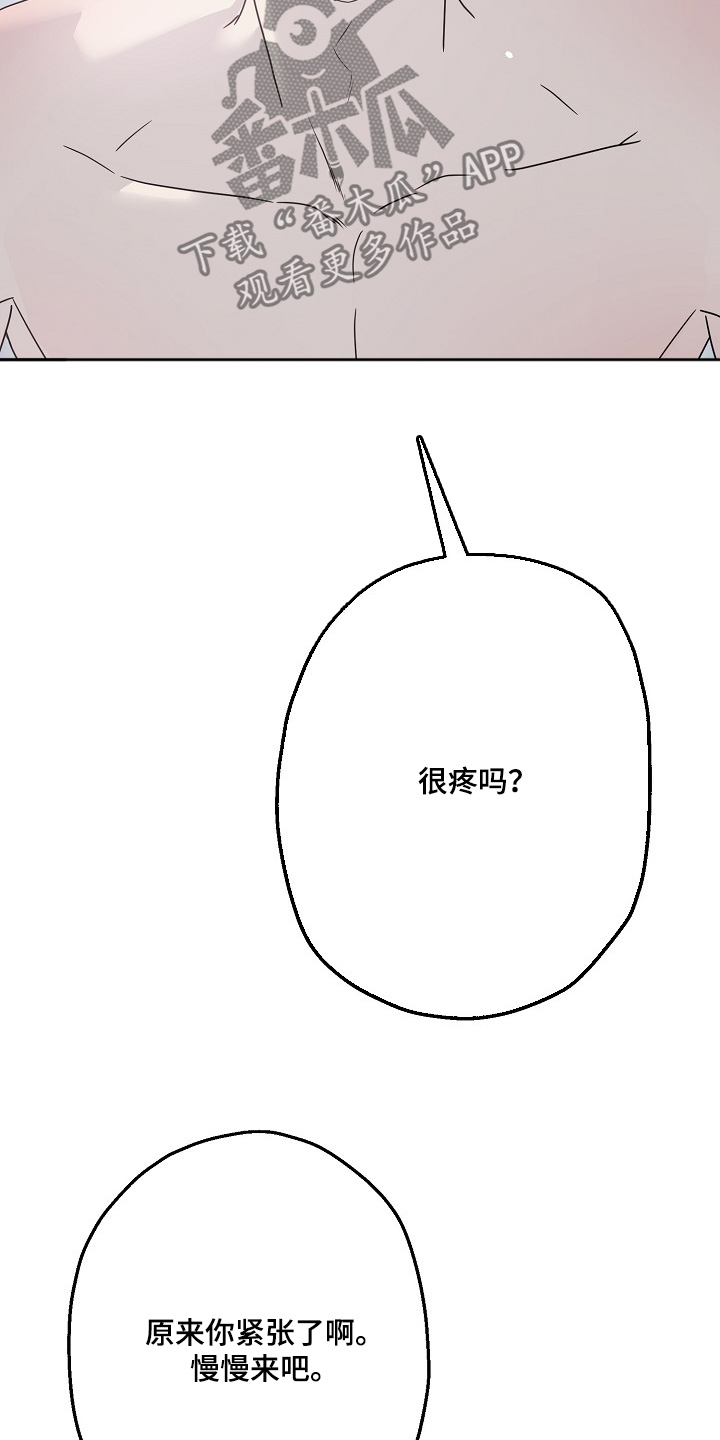 双重抉择