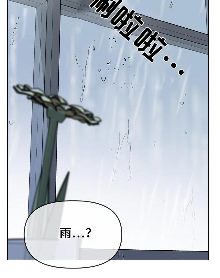 双重抉择