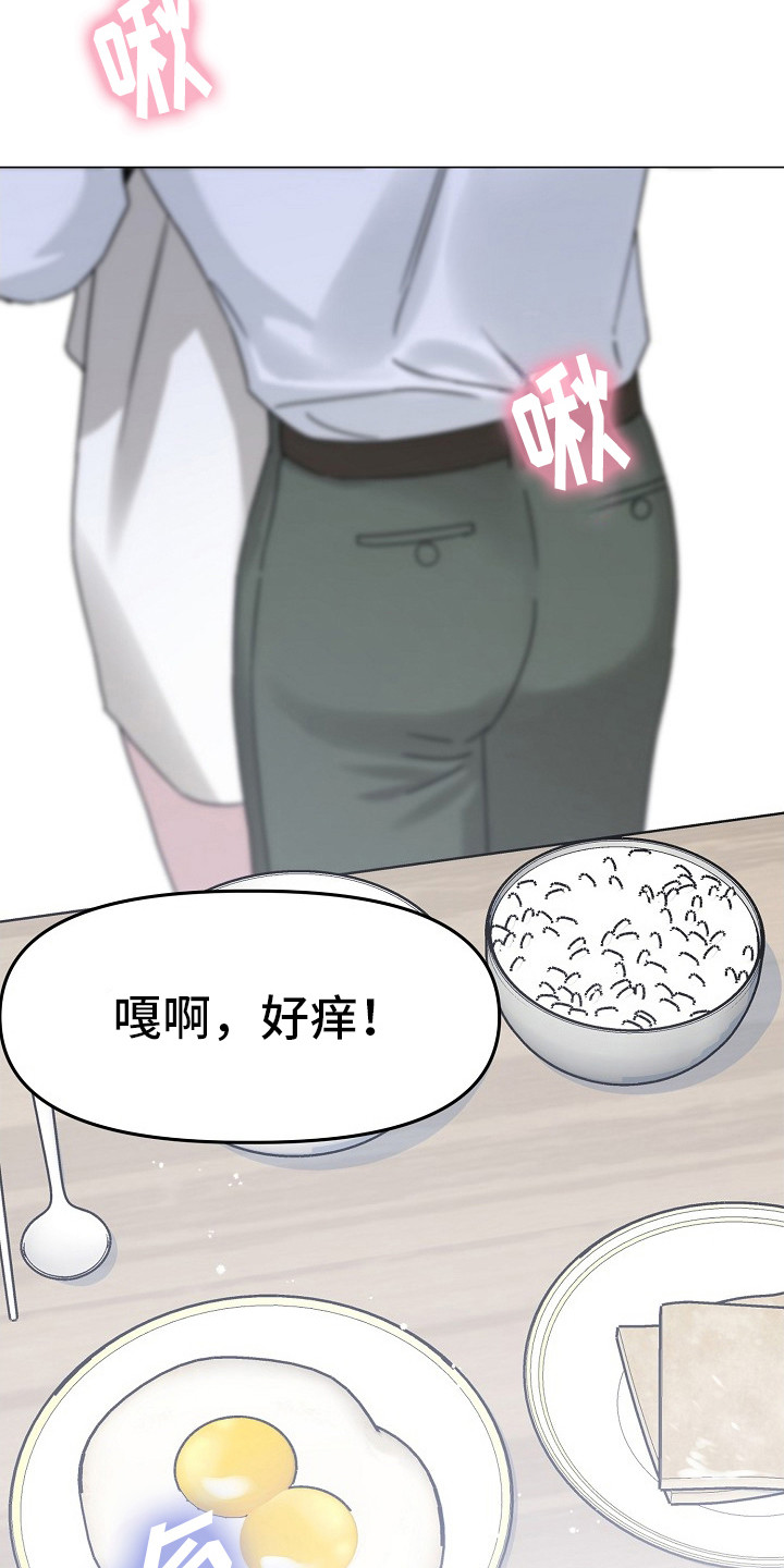 双重抉择