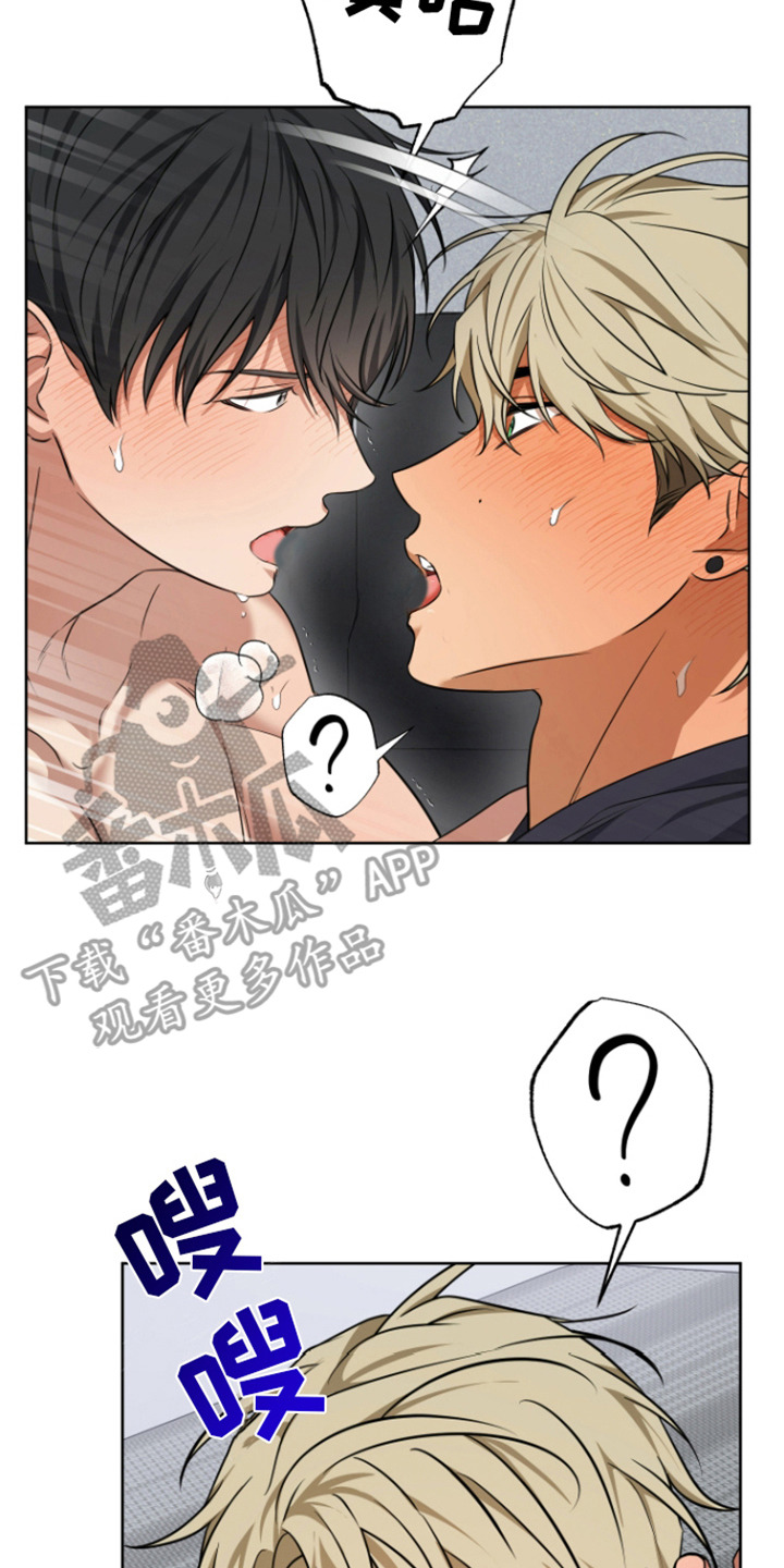 23