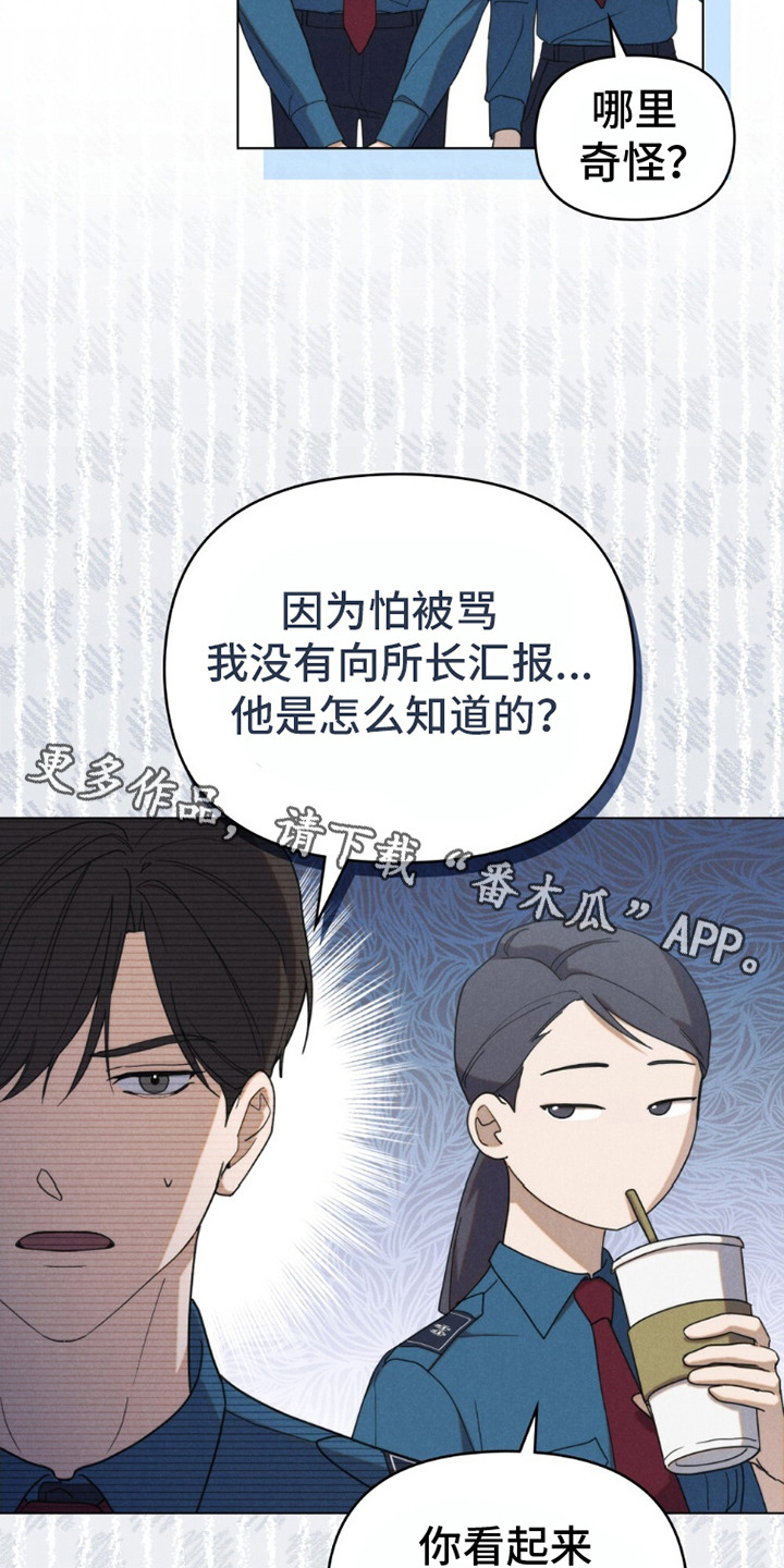 卧底大佬
