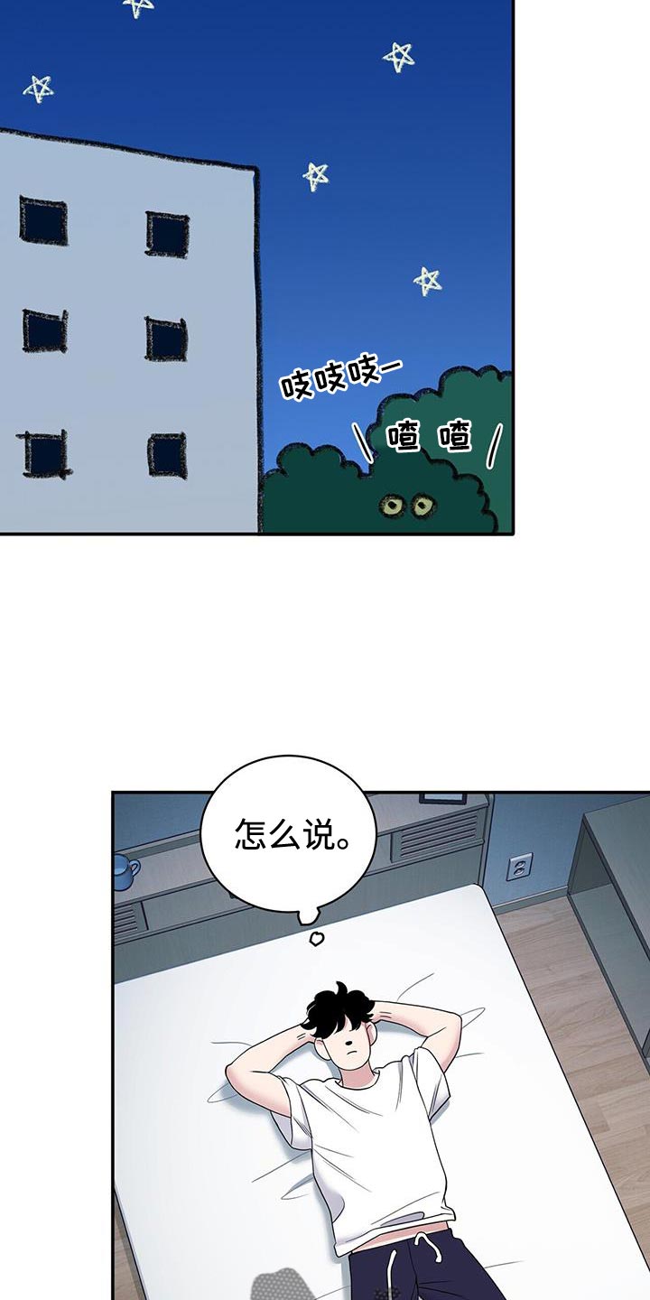 爱上搏击小将