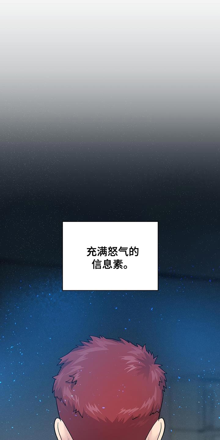 爱上搏击小将