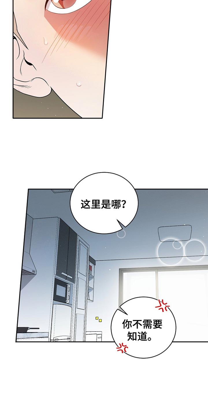 爱上搏击小将