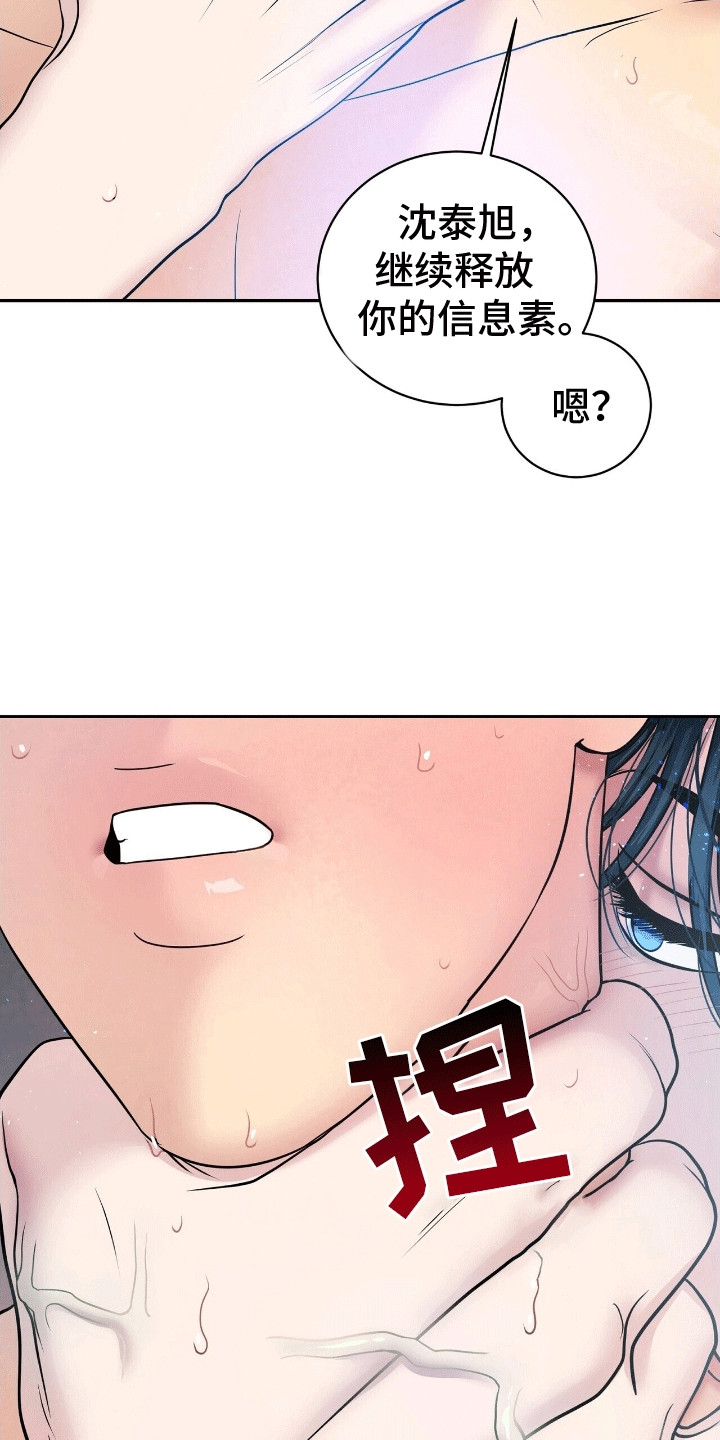 爱上搏击小将