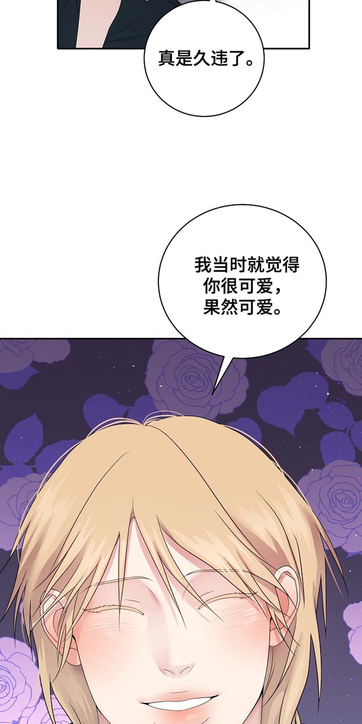 爱上搏击小将