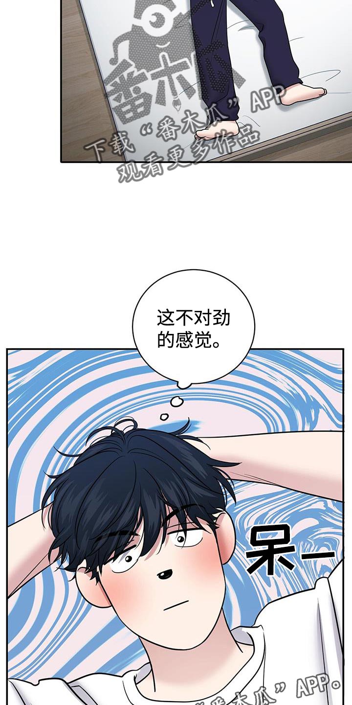 爱上搏击小将