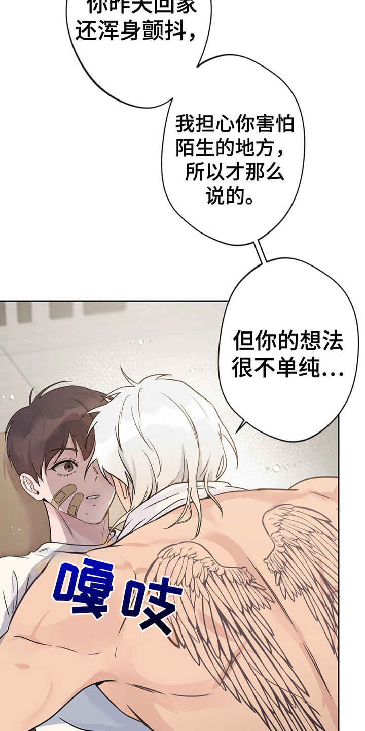 21