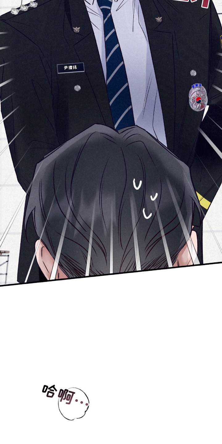 双重浪漫调查