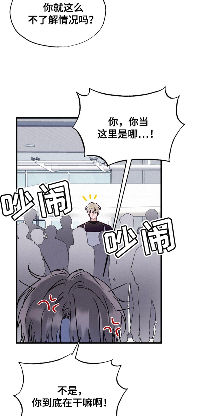 双重浪漫调查