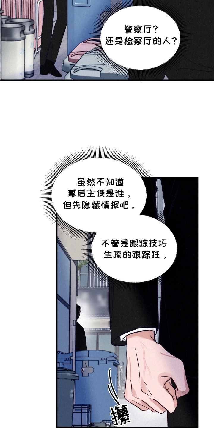 双重浪漫调查