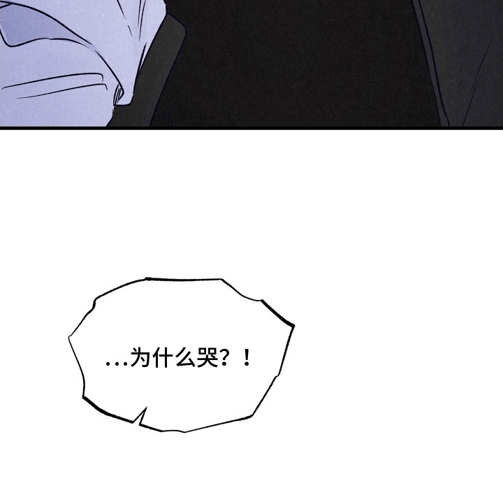 双重浪漫调查