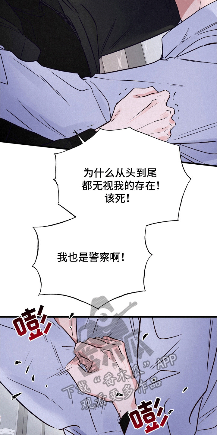 双重浪漫调查