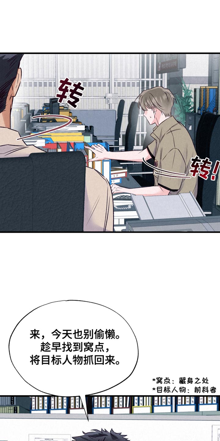 双重浪漫调查