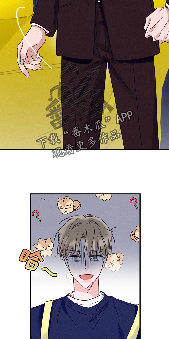 双重浪漫调查
