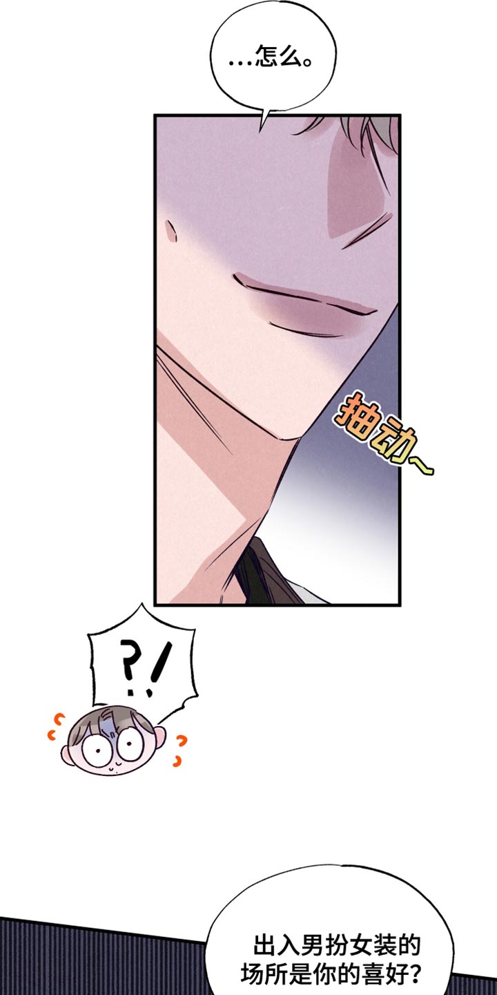 双重浪漫调查