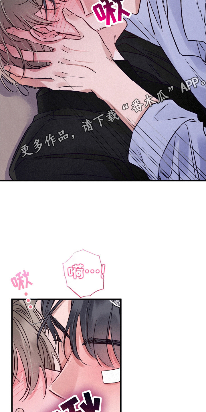 双重浪漫调查