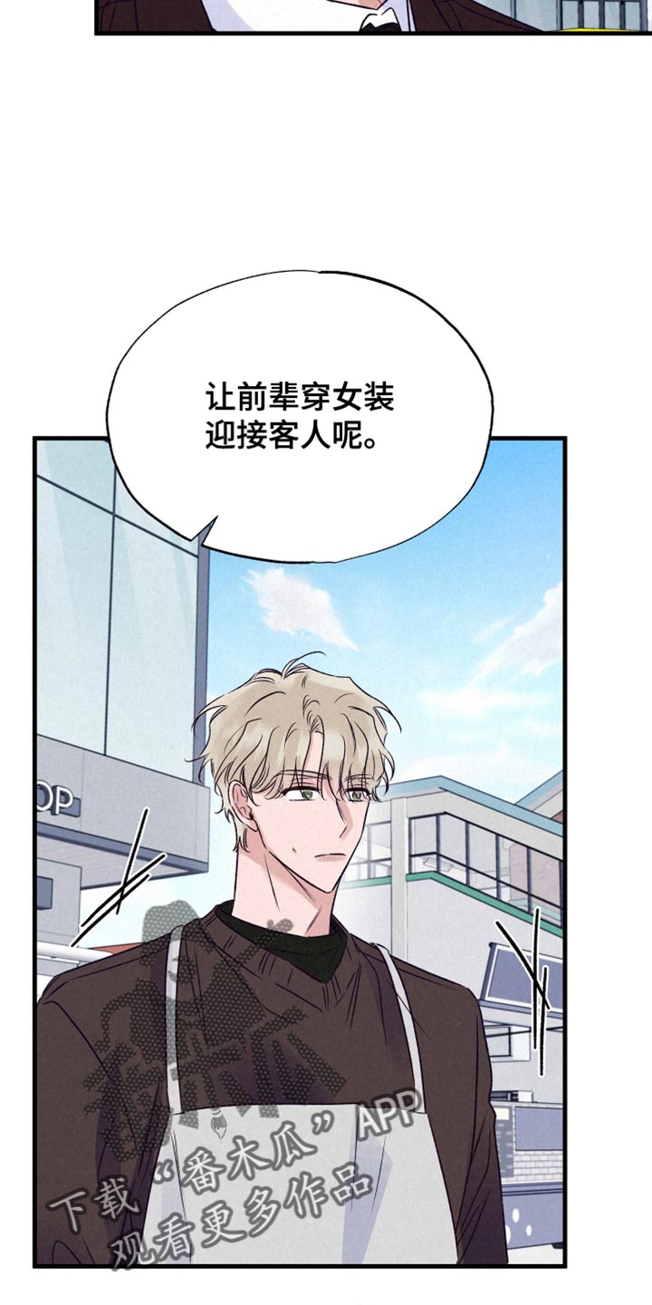 双重浪漫调查