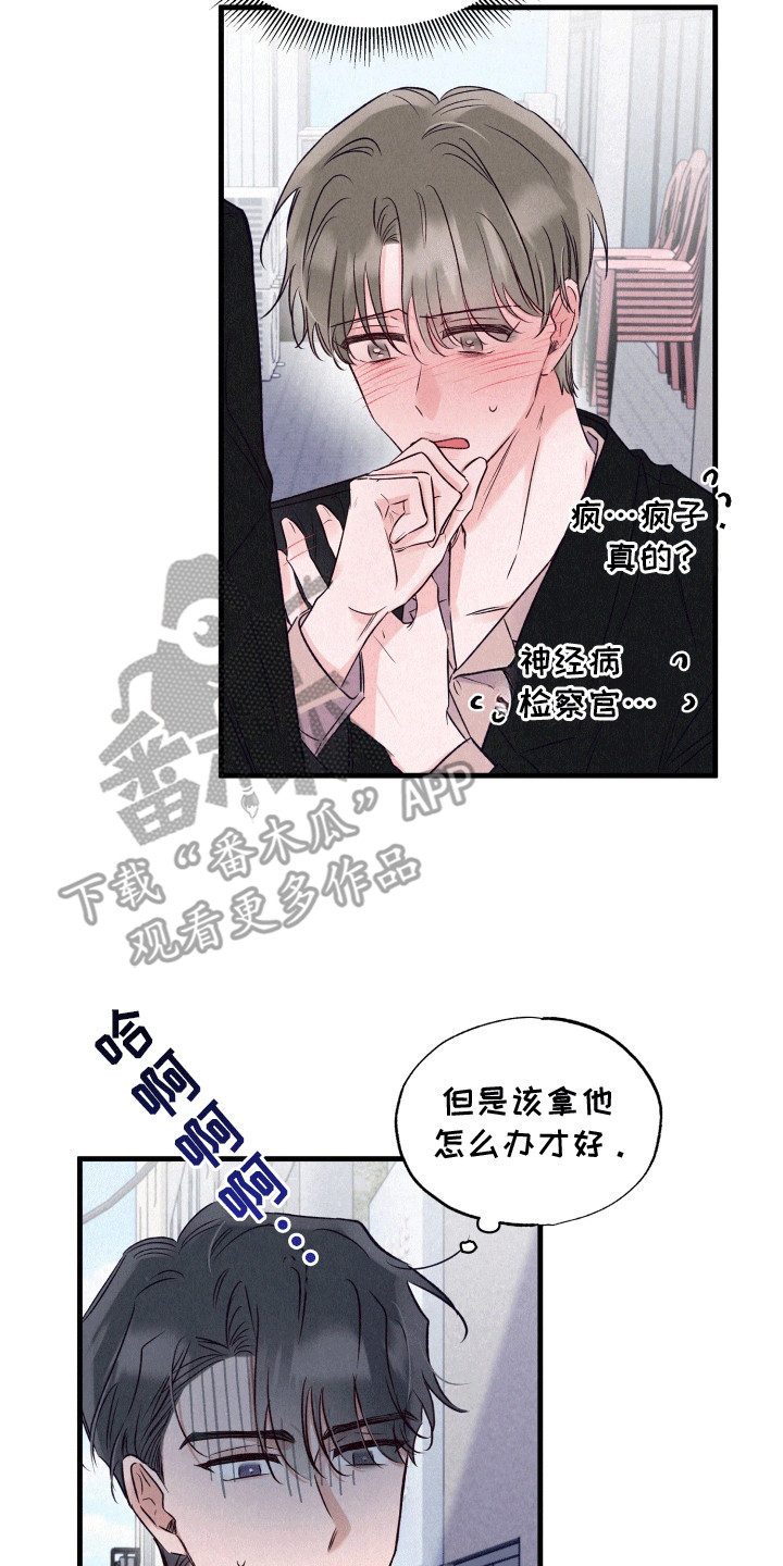 双重浪漫调查