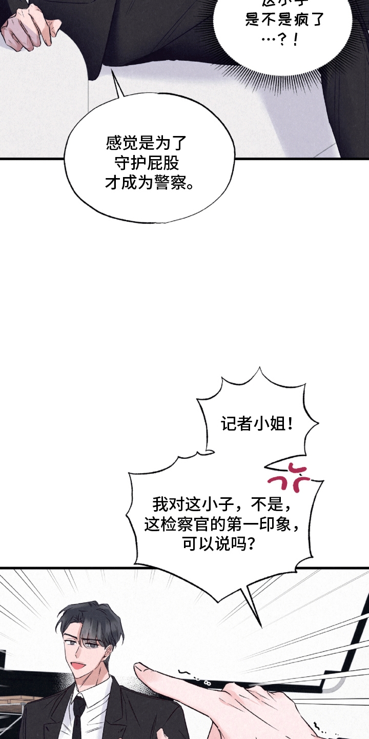 双重浪漫调查